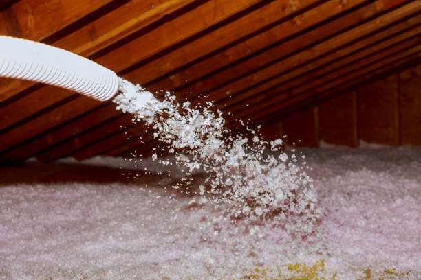 Best Insulation Repair Services  in Carthage, TN