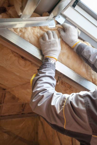Best Home Insulation Services  in Carthage, TN