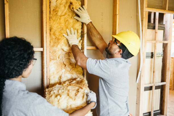 Insulation Repair Services in Carthage, TN