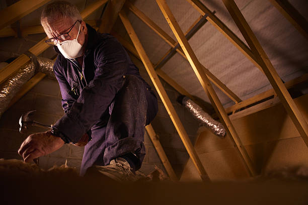 Best Crawl Space Insulation  in Carthage, TN